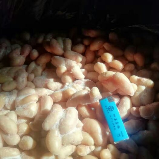 兰陵县 新鲜速冻鸡腰子，年前需要备货请速度，注意有钱没货，有货无车。