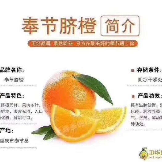 奉节 奉节脐橙