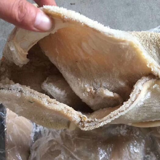 哈尔滨 巴西431牛肚
