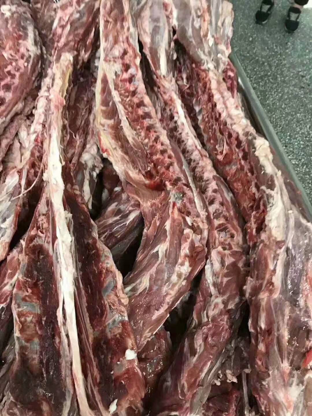 羊骨头 羊脊骨