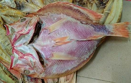 湛江 咸鱼 湛江特产大红鱼干货  深海海鲜海味送礼