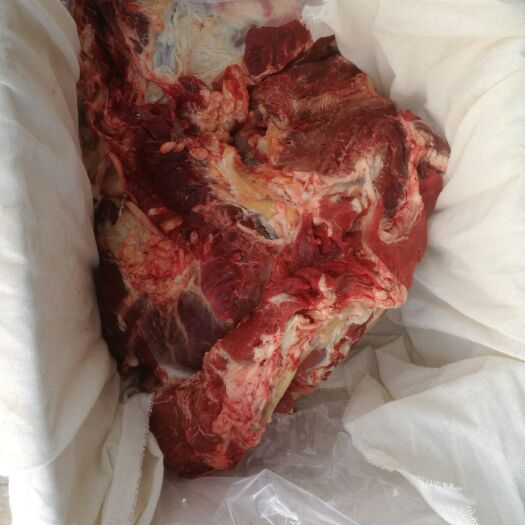 阳信县 牛肉