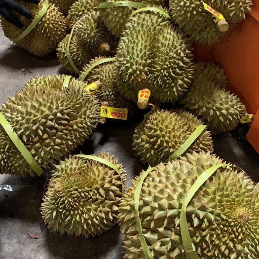 昆明 泰国金枕榴莲一件代发