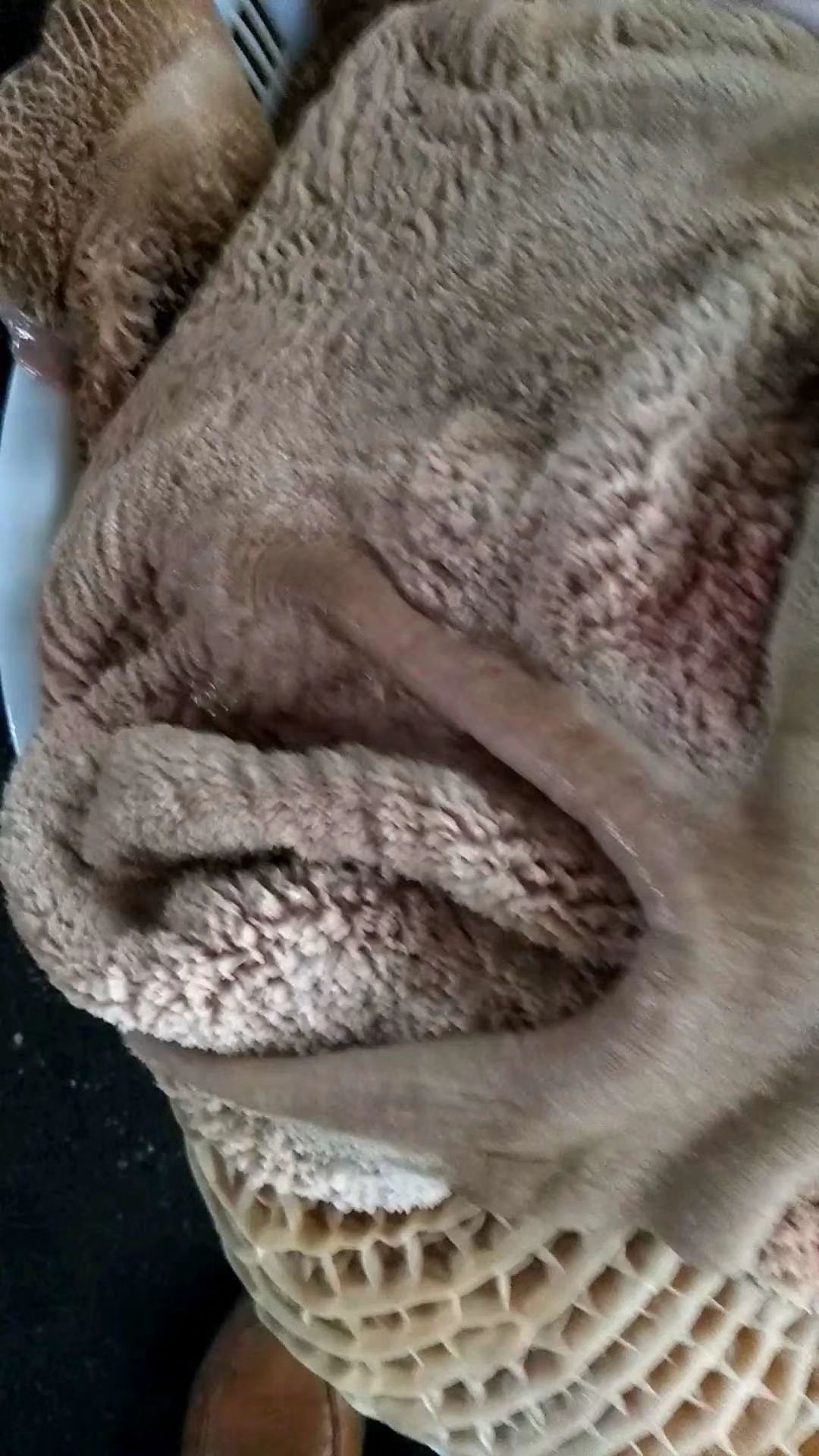 肉类批发采购_肉类供应_肉类价格_肉类批发网