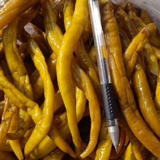 鸡泽县腌辣椒 优质青泡椒，大量出售，不支持零售