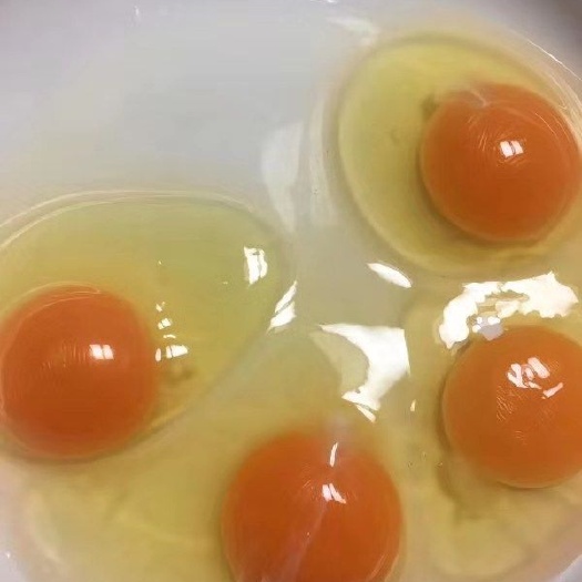合肥精品农家土鸡蛋！质量杠杠的！批发零售都可以！支持物流发货