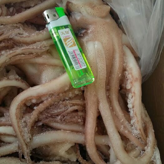 深圳机洗鱿鱼头鱿鱼须当天发货
自有工厂新鲜速冻欢迎团购询价