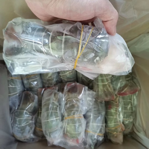 广州小龙虾  龙虾尾  青龙虾尾  小青龙 100g ~300g/条