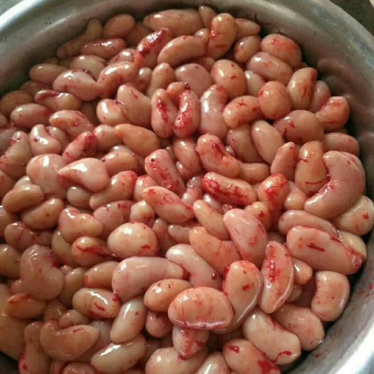 广州量大从优， 新鲜鸡腰子，新鲜农家鸡春，