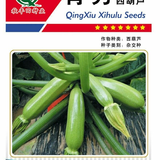 固阳县青秀    西葫芦种子
