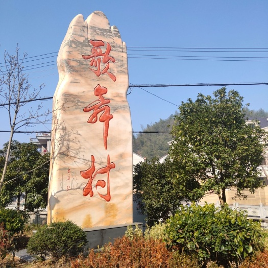 桐庐县 野生山茶油