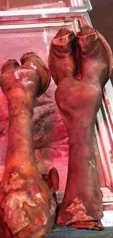 锡林浩特牛腹肉条 绿色熊掌，骆驼蹄子，牛口条，精品