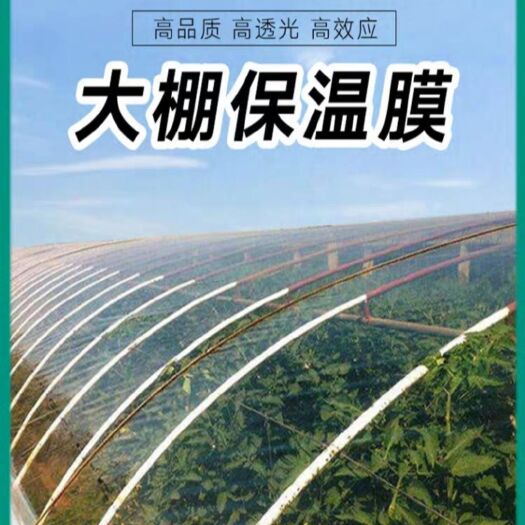 PO薄膜 大棚膜 PO膜 多功能保溫膜 蔬菜養(yǎng)殖膜