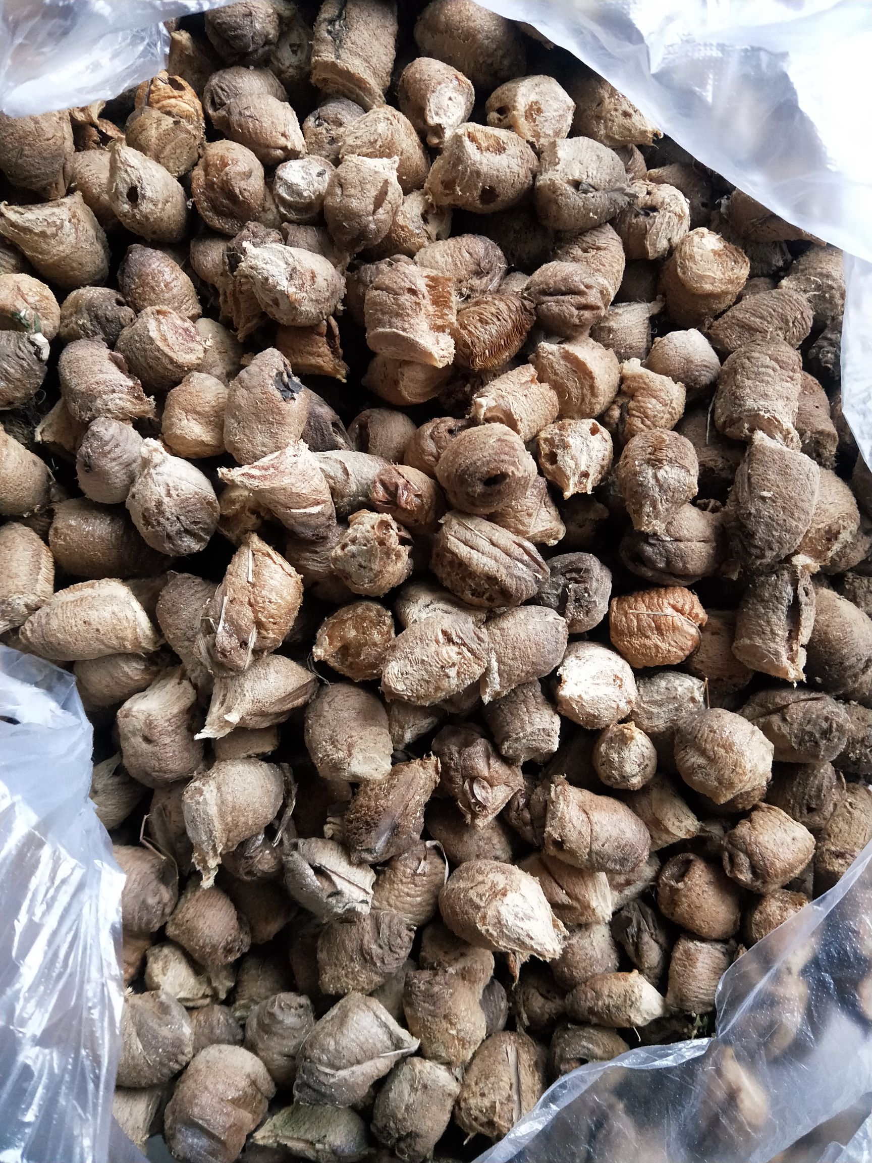 螳螂卵，桑螵蛸，生，熟都有