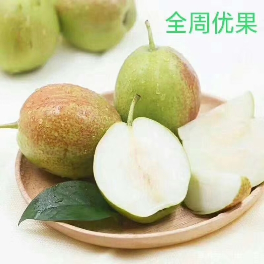 鲁山县酥梨 河南西部山区  邱岭地区种植  口感一流
