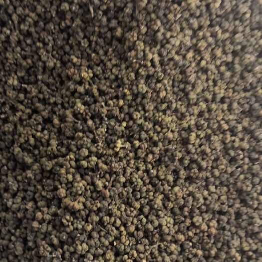 罗城县 中花吴茱萸
