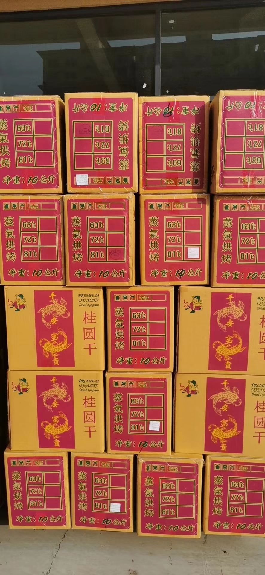 新疆大枣 24个月以上