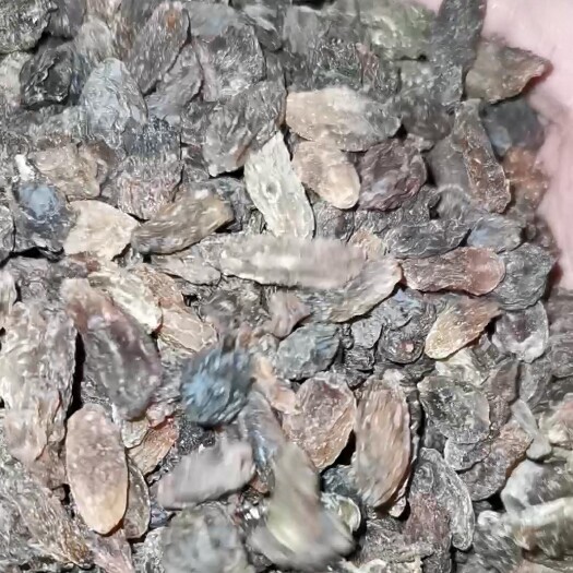吐鲁番 超便宜的葡萄干