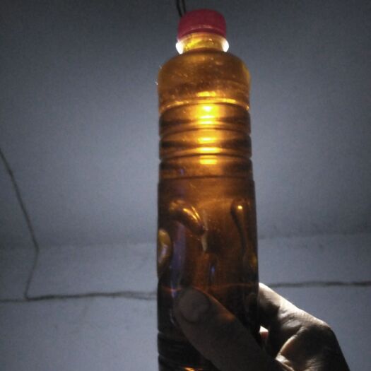 柘城县 黄秋葵初榨油绿色食品
