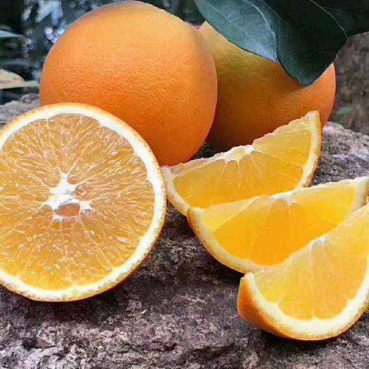 寻乌县赣南脐橙水果新鲜当季整箱橙子10斤应季现季江西玲珑小果