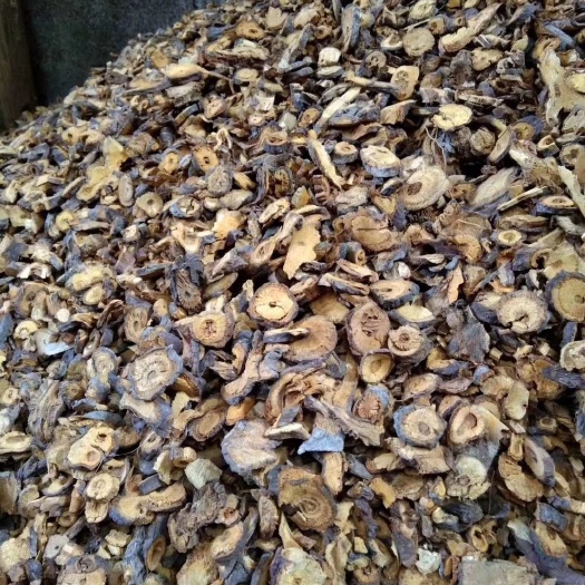 松桃县大量供应虎杖圆片，斜片