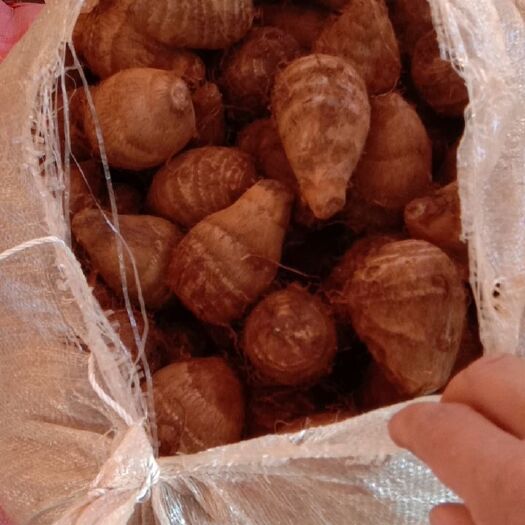 开远市酸芋头梗 袋装 1个月
