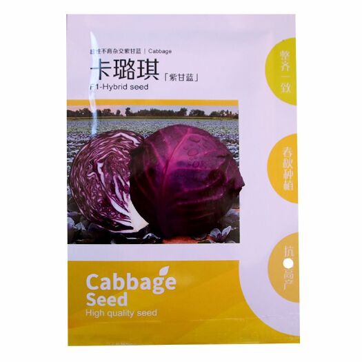 卡璐琪紫甘蓝种子 农田菜园基地高产中熟杂交种子 紫甘蓝蔬菜