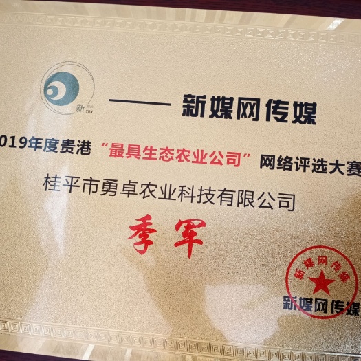 桂平市 优质罗汉松