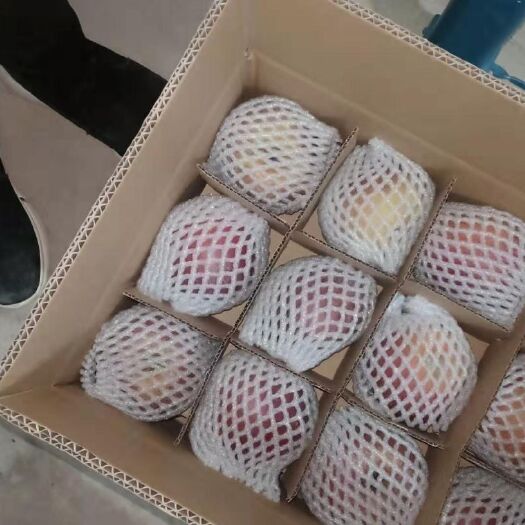 昭通 昭通市洒渔丑苹果