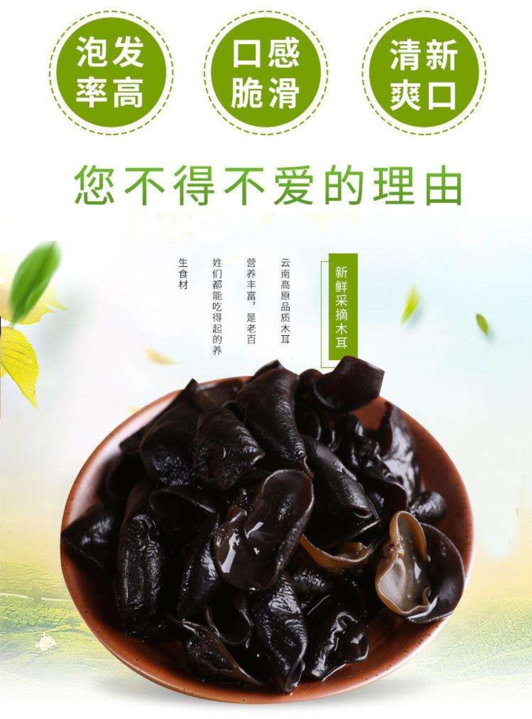 黑木耳  东北 特级【秋木耳】色正无根