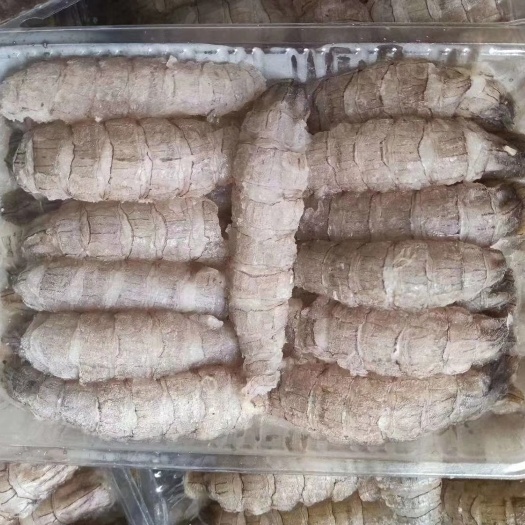 乳山市皮皮虾肉