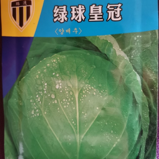 邯郸绿甘蓝种子 韩国三系杂交绿球皇冠甘蓝种子包心菜 耐裂球 品质好高抗病