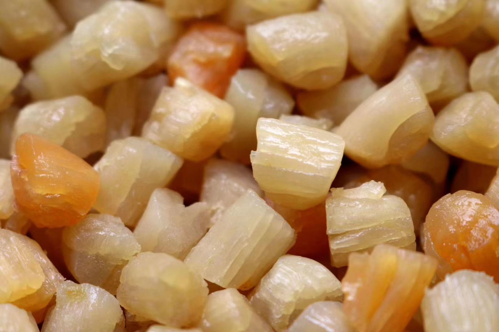 干贝 大连瑶柱元贝海味