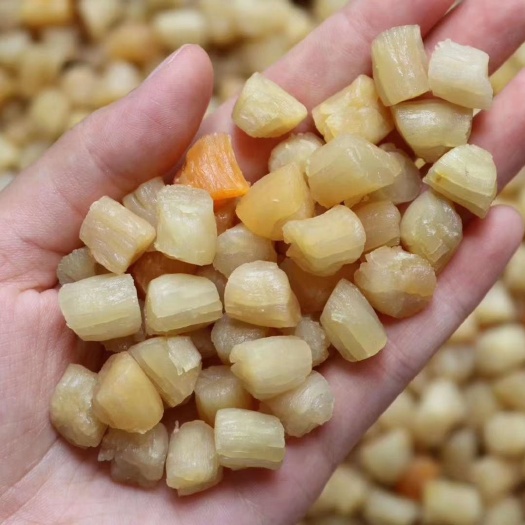 干贝 大连瑶柱元贝海味