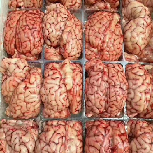 中牟县羊脑