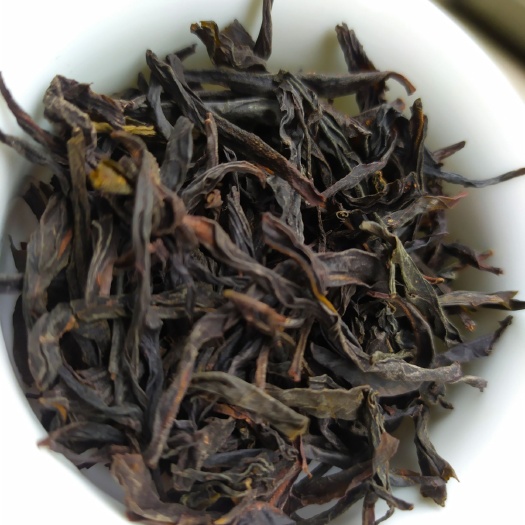 惠来县高山凤凰单丛茶潮州凤凰单枞茶潮汕单枞浓香乌岽蜜兰香单枞茶1斤