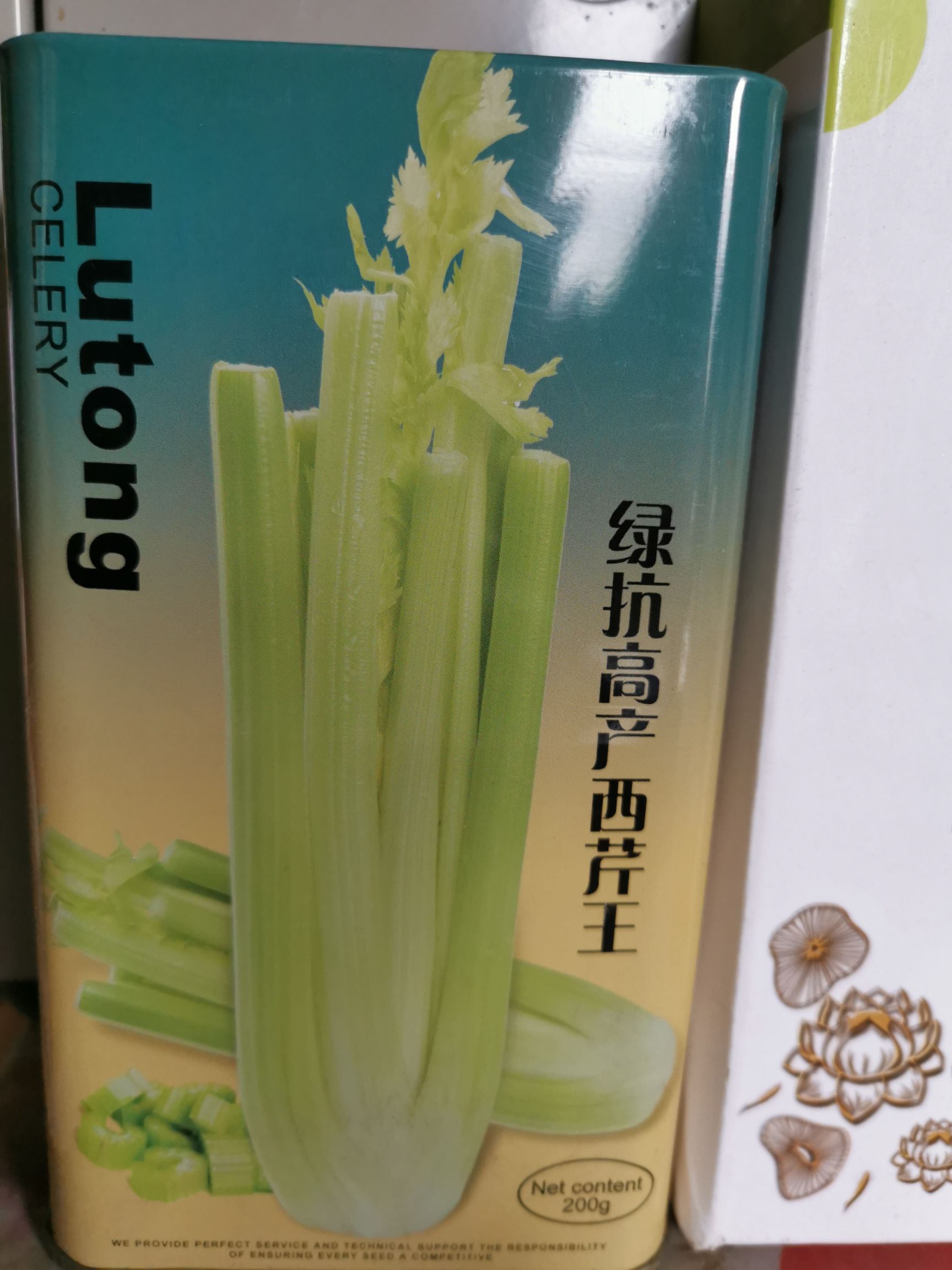 西芹种子 绿抗高产西芹 生长旺盛 植株高大 整齐一致 抗病性强200克