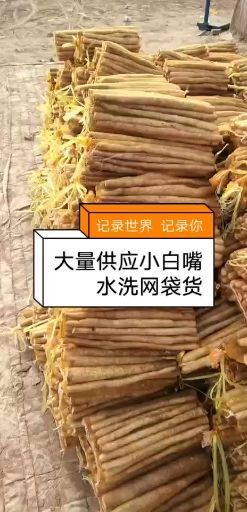 小白嘴白山药 大量供应小白嘴水洗网袋货箱货