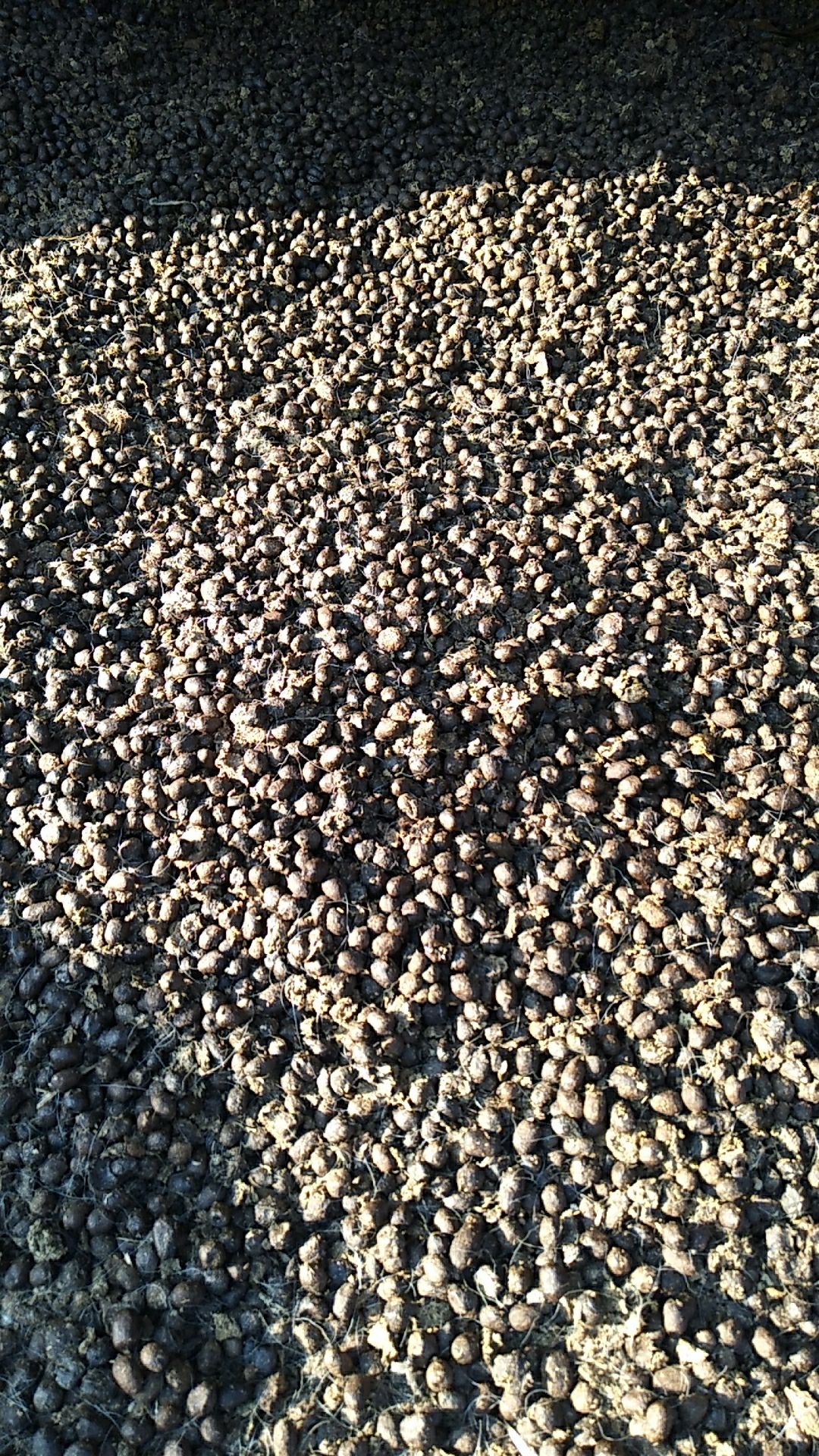  纯发酵好的羊粪