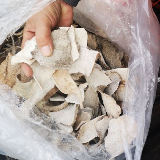洪雅县魔芋干片 干白魔芋片