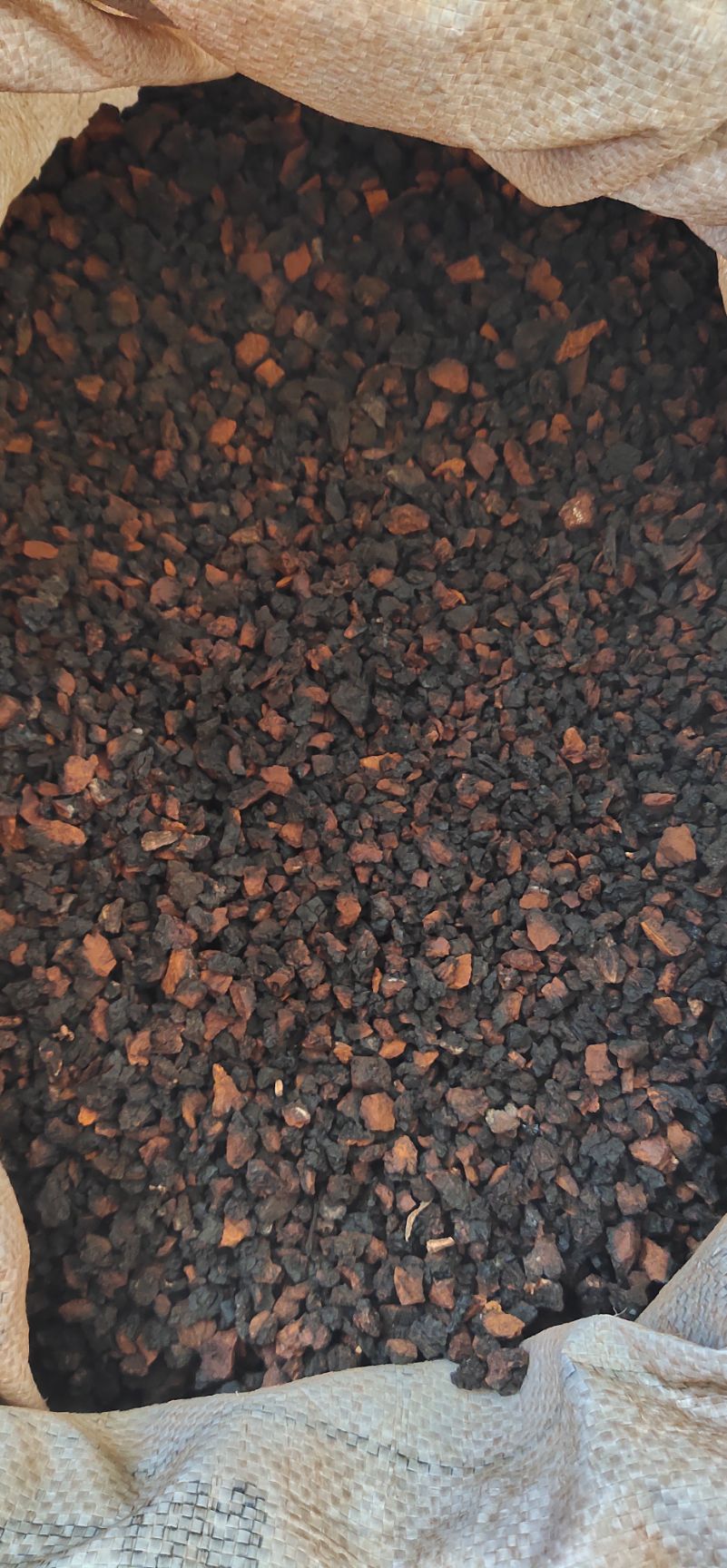 白桦茸  长白山【桦树茸黑精颗粒】是普通桦树茸的三倍