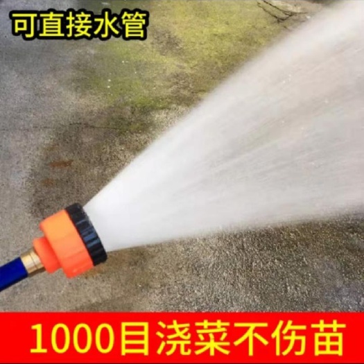 临海市1000目育苗浇水浇花地喷头洒水农用园林园艺家用大棚花洒花