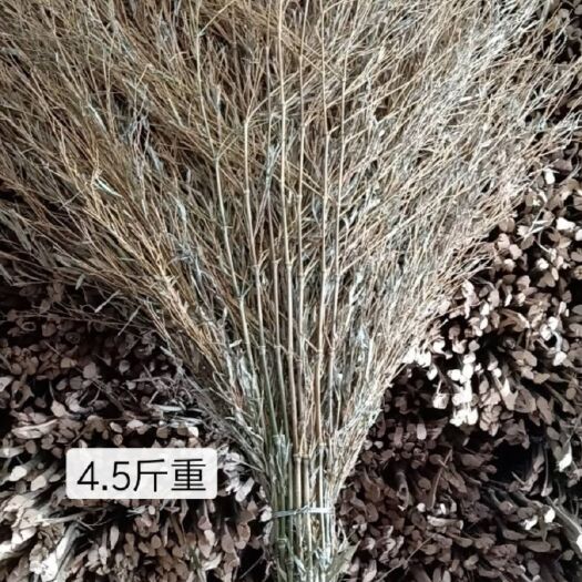 临沭县扫把 高品质金枝扫帚。