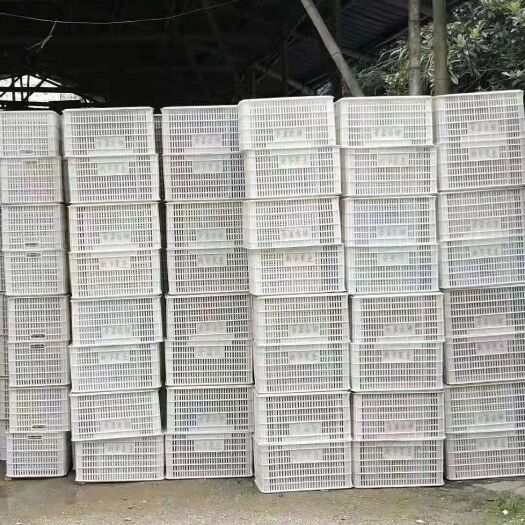 崇义县塑料筐 赣南脐橙筐子