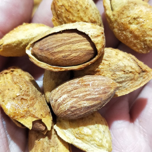 西安2024年新货盐香味薄皮巴旦木，一箱净重10斤！口感香脆