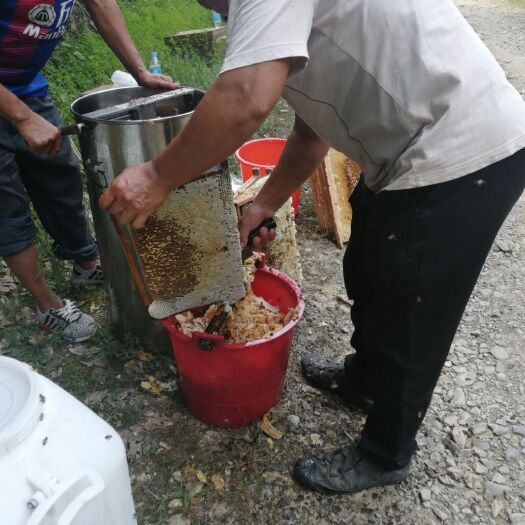 万载县土蜂蜜 塑料瓶装 1年 98%