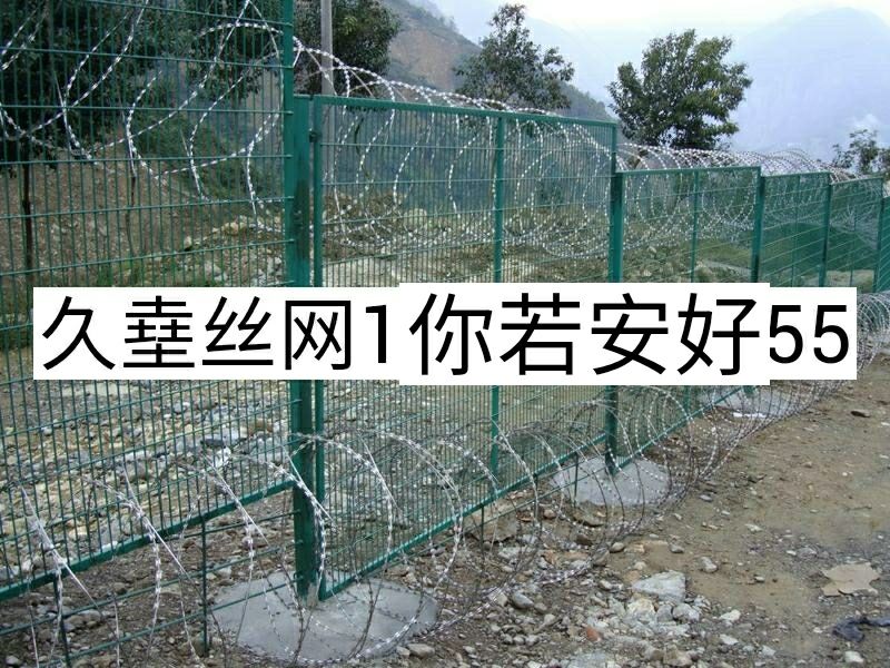 安平县格栅 刀片刺网防盗刺圈地刺网滚笼带刺铁丝防盗刺网防爬刺网