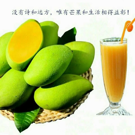 青芒广西基地直发大果装箱单果一斤起快递包邮