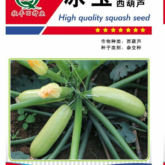 冰玉 西葫芦种子
