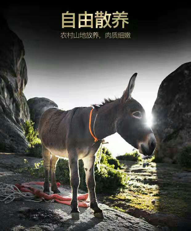 驴板油 驴板筋新鲜正宗鲜生驴板筋新鲜散养真空3斤河北特产驴板筋